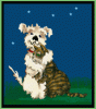 hundundkatze.gif