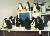 pinguine vor dem computer.jpg