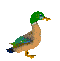 ente1.gif