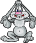 hase zieht sich an den ohren.gif