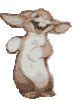 hase-24.gif