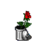 n_blu032.gif