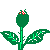 natur25.gif