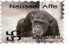 affe.jpg