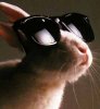 ostern14.jpg