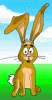 hasen-augenbrauen.gif