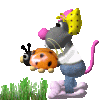 kmk.gif