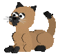 katz1.gif