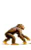 mann.gif