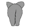 elefant4.gif