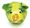 schwein.jpg