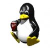 cola pinguin.jpg