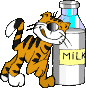 katze.gif