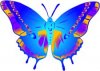 butterfly_-_cartoon_4.jpg