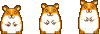 hamster.gif