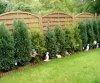pic_0026 garten.jpg
