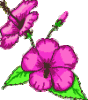 pinkfarbene blume.gif