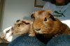 dscf0079.jpg