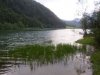 web. pillersee, groÃŸ.jpg