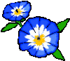 blau.gif