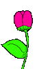 07712359.gif