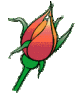 rose2.gif