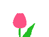 gif_75_15.gif