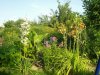 garten05.jpg