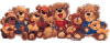 baer45.gif