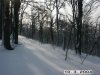 pict1561.jpg