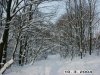 pict1555.jpg
