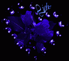 blaue rose.gif