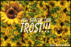 trost.gif