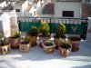 dsc00038.jpg