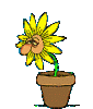 a_blumen11.gif
