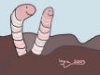 wurm.jpeg