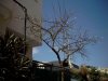 dsc00007.jpg