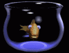 fisch.gif