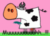 kuh.gif