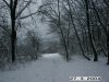 pict1669.jpg
