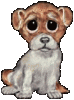 Hund, traurig guck.gif