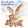 hase2.jpg
