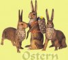 Osterhasen.jpg