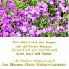GlÃ¼ckwunsch Aubretia.jpg