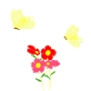 schmetterling blume.gif