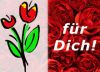 FÃ¼r Dich Rose.gif