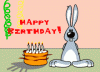 Hase Geburtstag.gif