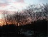 FrÃ¼hling 048.jpg