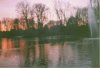 Web. Abendsonne 1.jpg