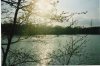 Web. Morgensonne Reuschenberger See.jpg